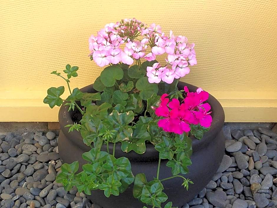 Mount View Motel Hawera