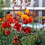 Minsk Hotels - Extended Stay, I-10 Tucson Airport