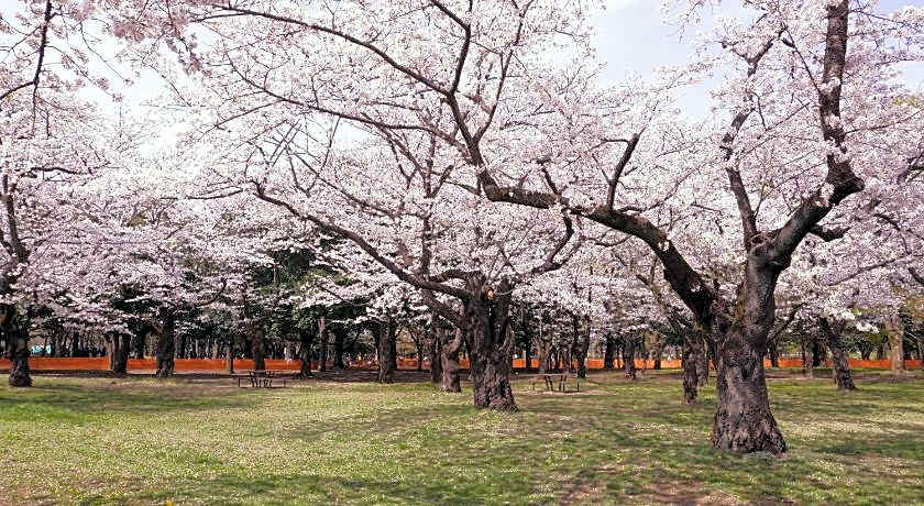 MIMARU TOKYO SHINJUKU WEST