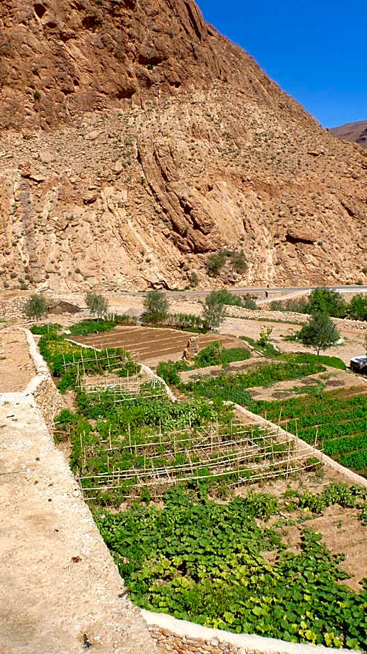Auberge Le Festival Todra Gorge