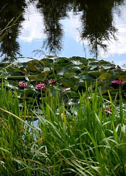 Hotel Marco Płońsk Szkolna 115