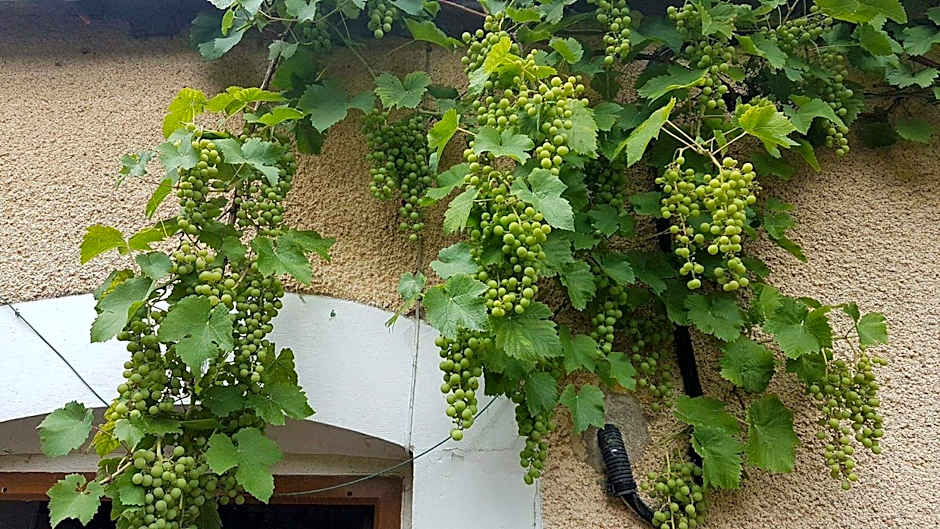 La Pouillyzotte