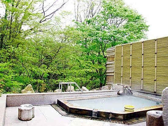 Okushiobara Kogen Hotel