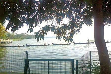 Lovedale Lakeside Homestay