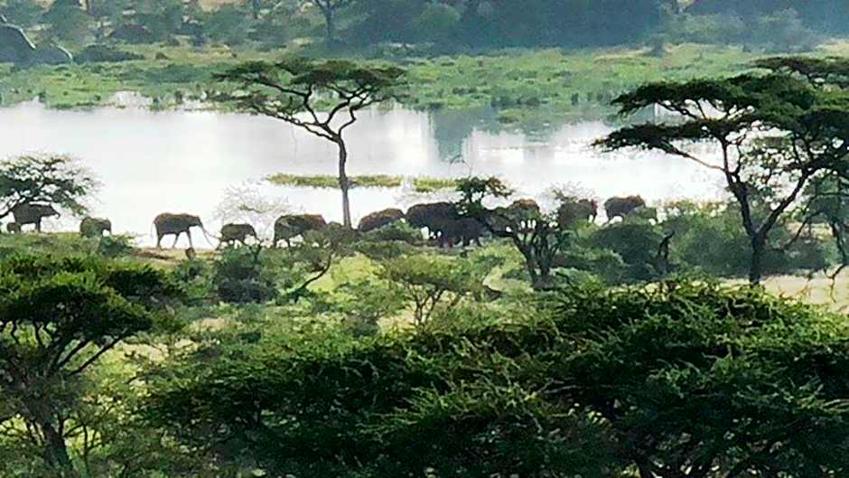 Seronera Wildlife Lodge