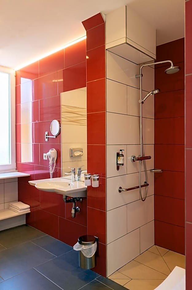 Logis Hotel Des Vosges