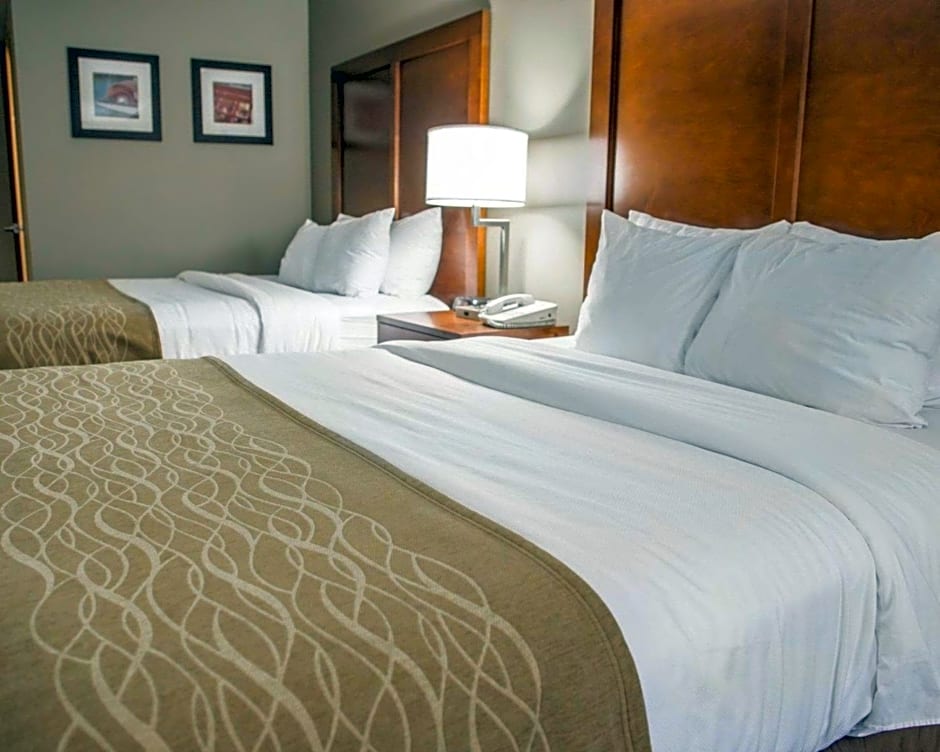 Comfort Inn & Suites Riverview near Davenport and I-80