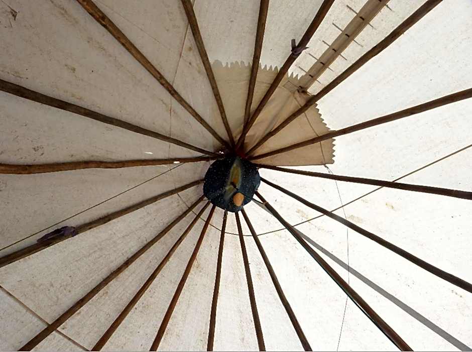 Wacky Stays - unique farm-stay glamping rentals, FREE animal feeding tours