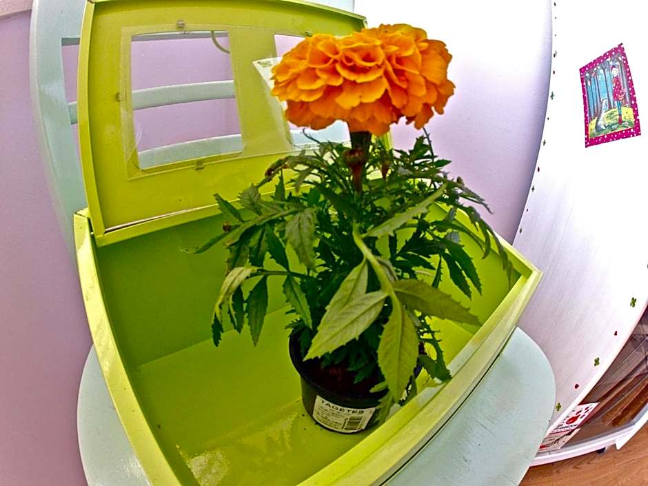 Backpackers Fairytale Hostel