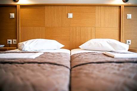 Double or Twin Room with Mountain View