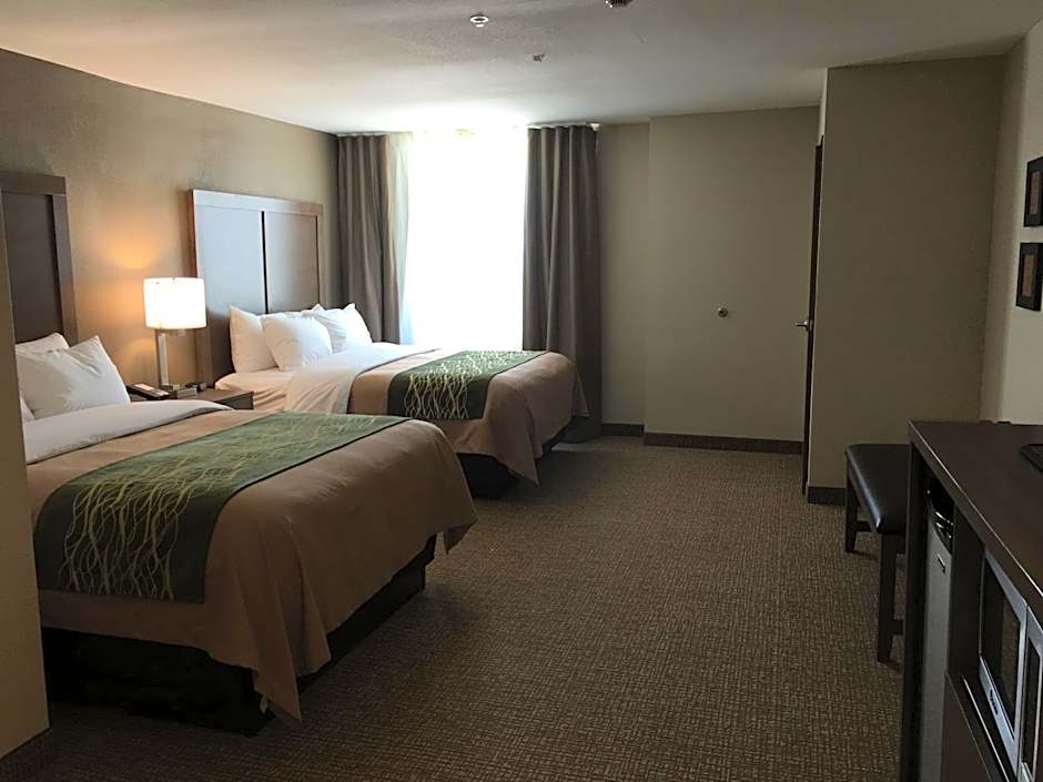 Comfort Inn & Suites Snyder