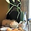 Wynberg House Bed & Breakfast Swansea
