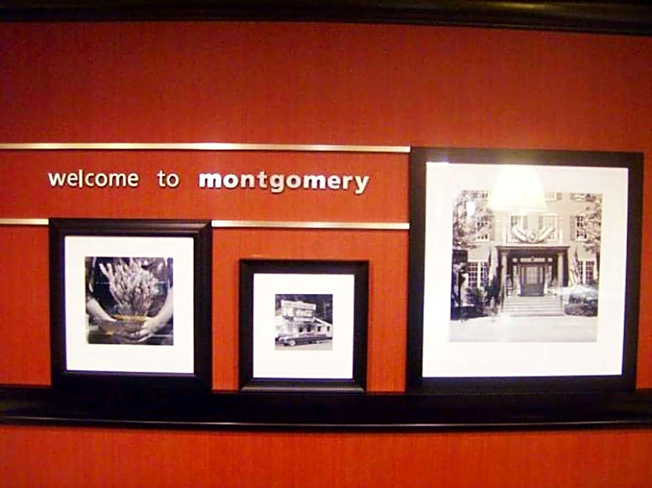 Hampton Inn By Hilton Montgomery-South-Airport