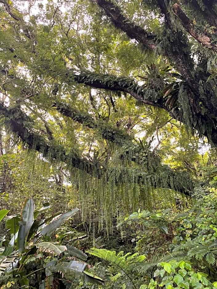 Naveria Heights Lodge