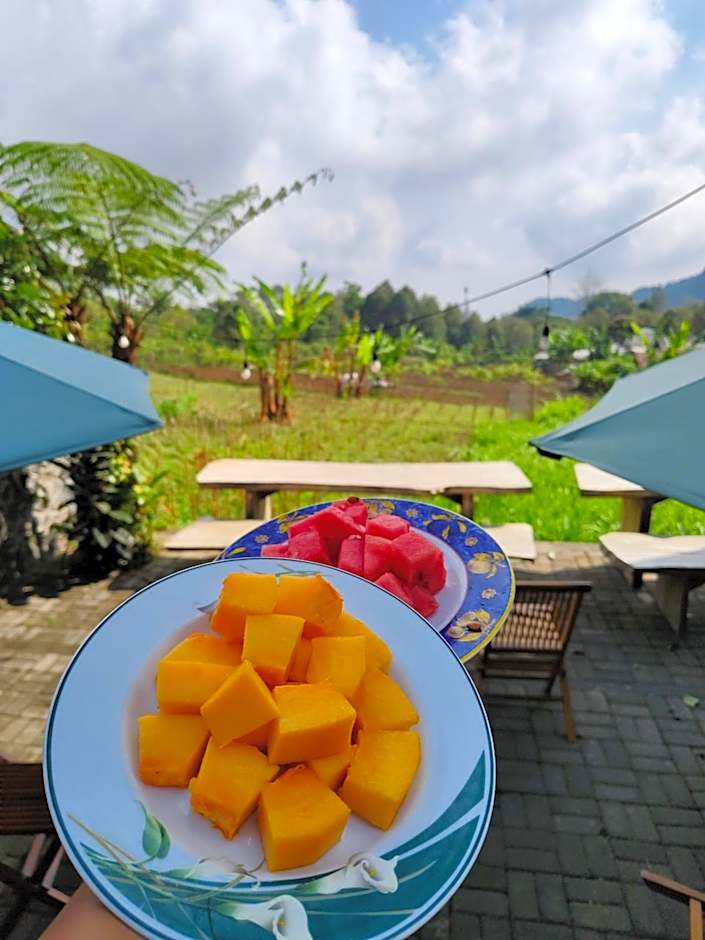 KOPIKUIN bromo homestay
