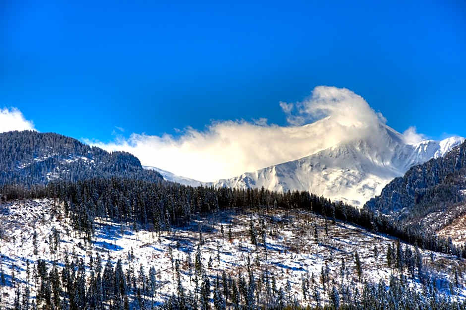Willa u podnóża Tatr Cztery Pory Roku