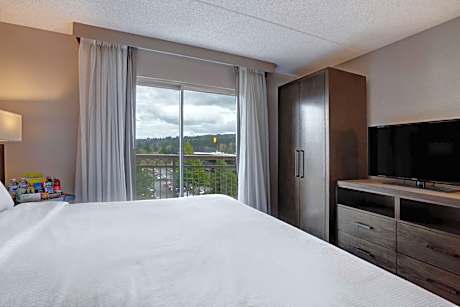 Premium King Suite - Non-Smoking
