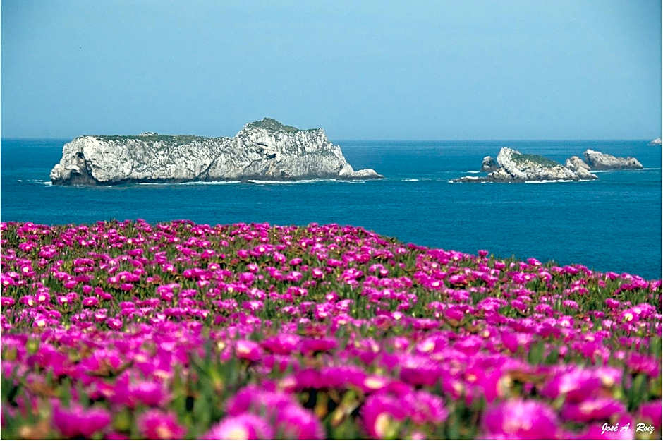 Hotel El Castillo de Los Locos