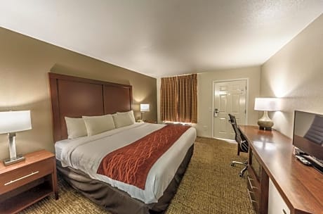 King Room with Roll-In Shower - Disability Access