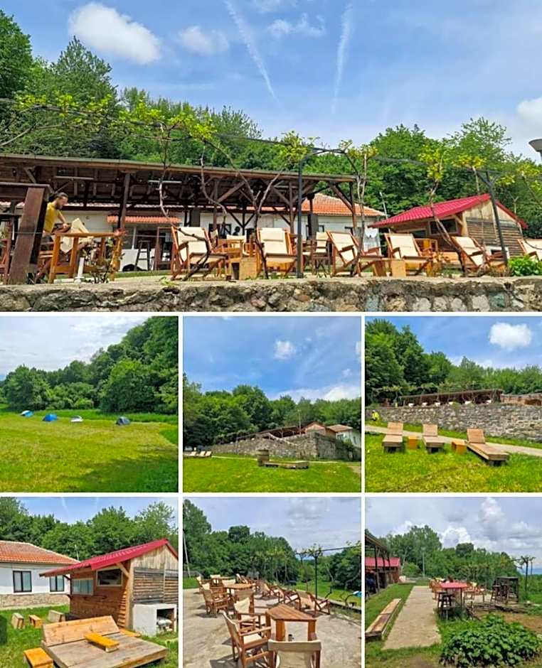 Bonsovi Poliani Hut (¿¿¿¿ ¿¿¿¿¿¿¿ ¿¿¿¿¿¿)