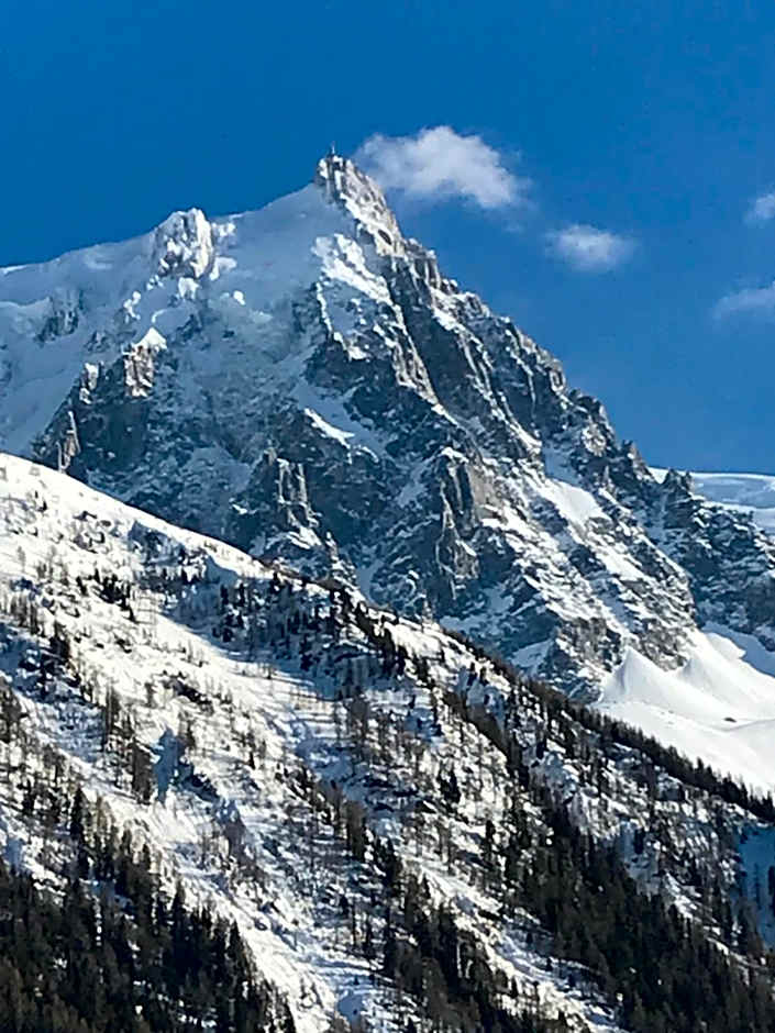 Appart'Hotel Aiguille Verte & Spa