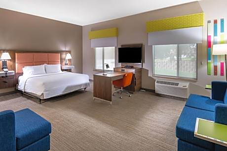 1 King Bed Studio Suite Nonsmoking