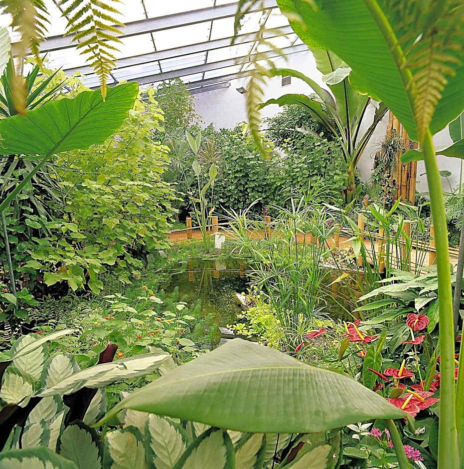 Ibis Orleans La Chapelle Saint Mesmin