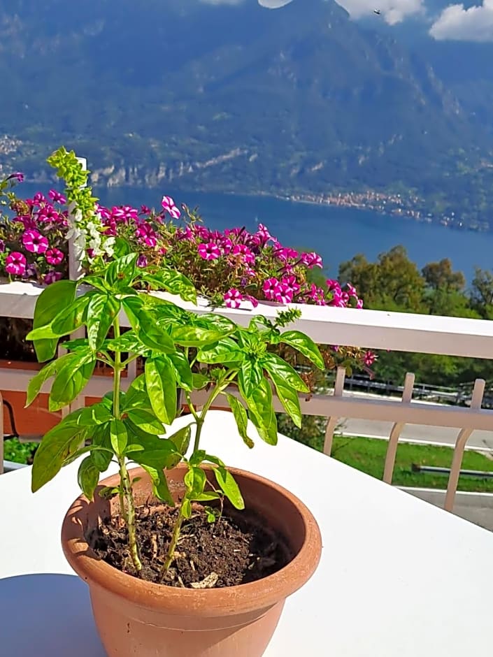 Bed & Breakfast Bellagio