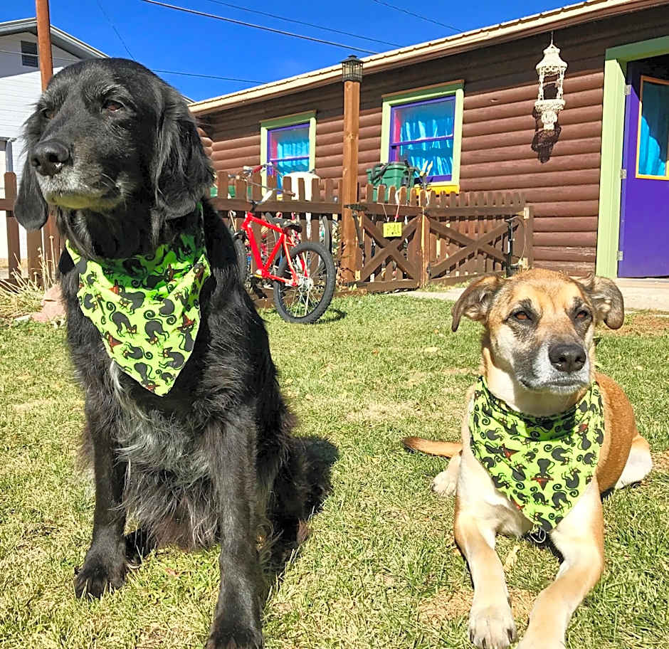 The Wanderlust Hostel