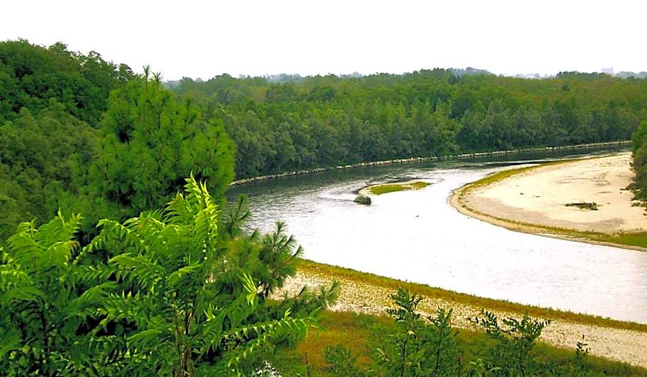 La Casa delle Betulle