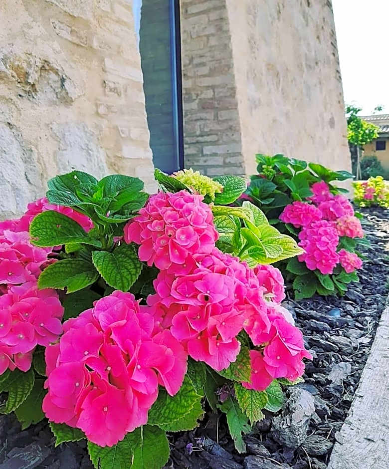 Hotel Rural El Teular