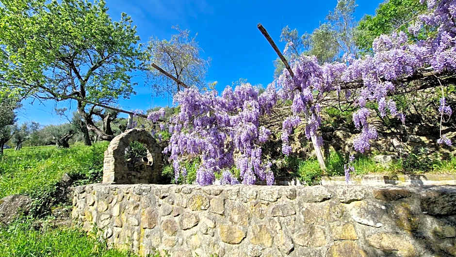 L'Ottava Goccia Country House