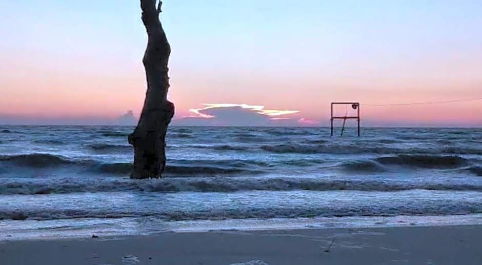 Gold Coast Rose Studio