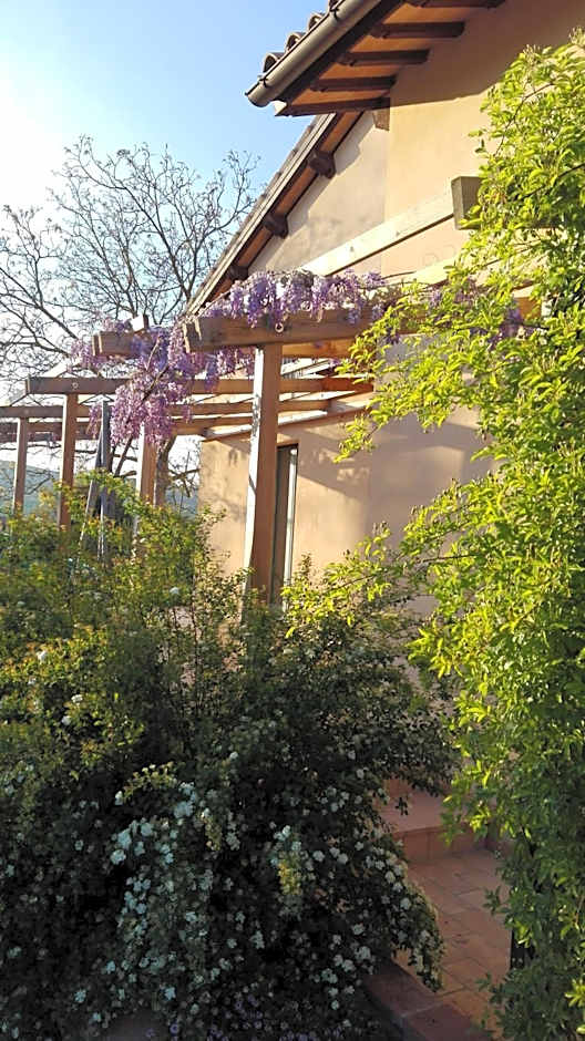 B&B Antegiano
