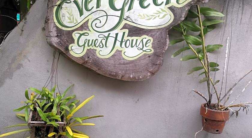 Evergreen Guesthouse