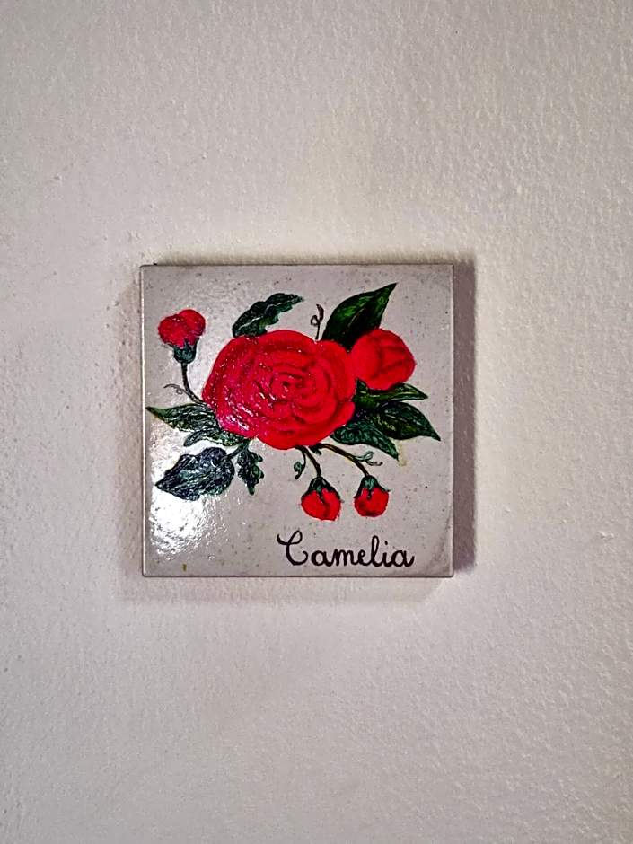 Il casale di Sandra