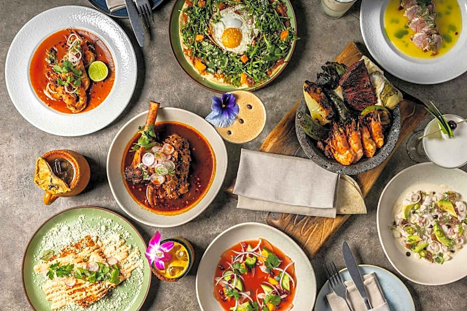 Hollywood Volume, a Tribute Portfolio Hotel