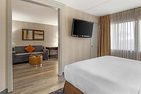 King Suite with Sofa Bed - Pet Friendly/Non-Smoking