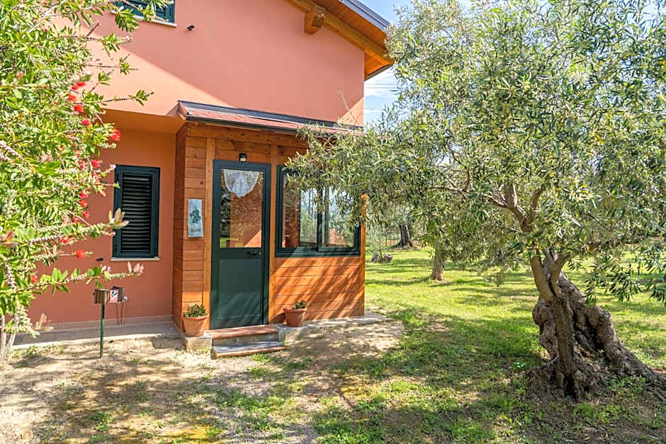 La Piana degli Ulivi