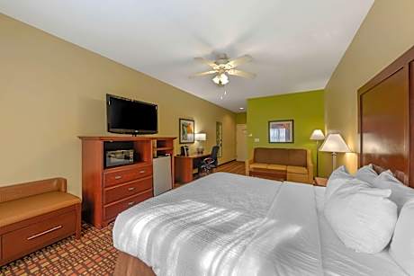 1 KING BED,NSMK,EXECUTIVE,42IN LCD TV,MICRFG,SOFABD,FULL BREAKFAST