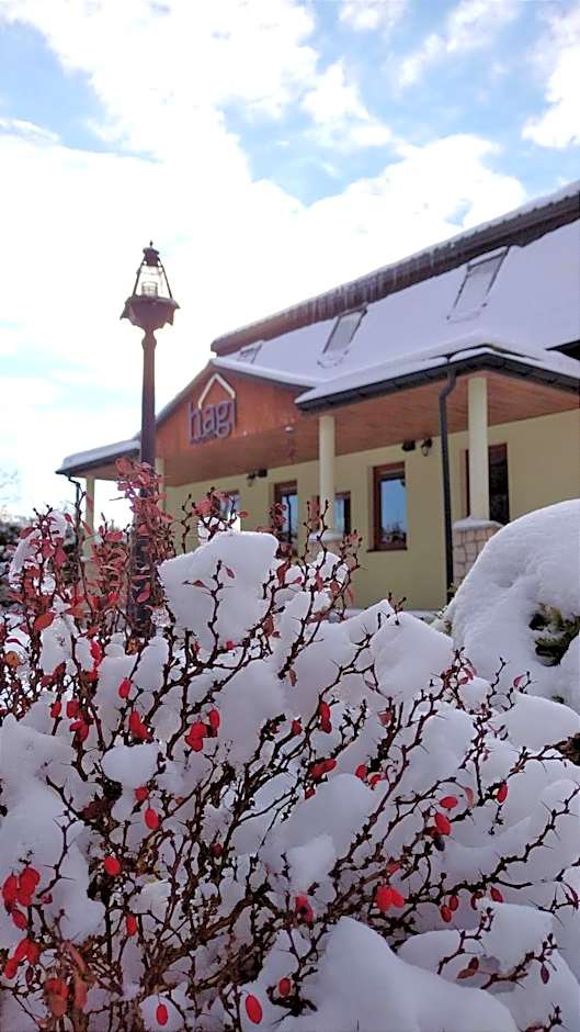 Pensjonat Hagi