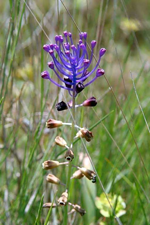 Château De Siran - Hôtel & Spa