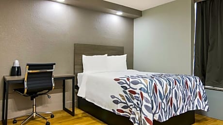 Superior Room with One Full Bed Hypoallergenic Non-Smoking