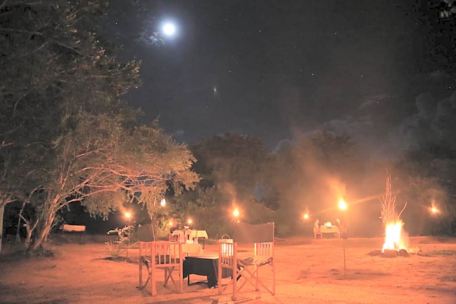 Big Game Yala - by Eco Team