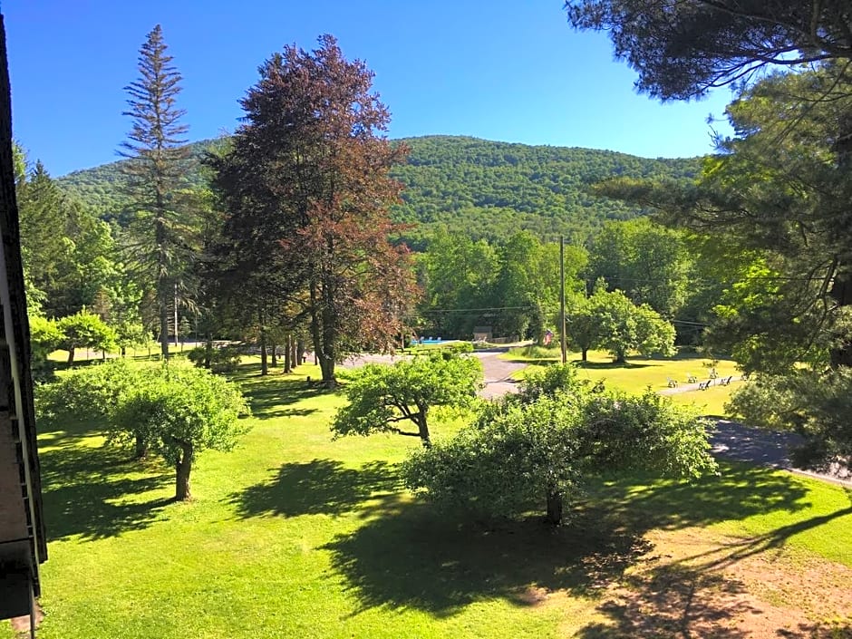 Slide Mountain Forest House