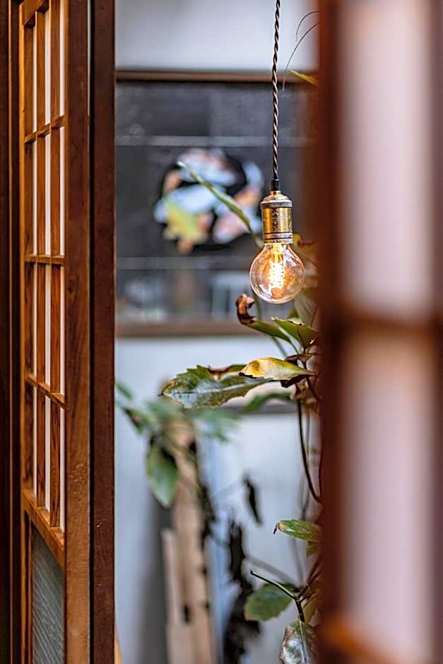 HoNoDo COBO