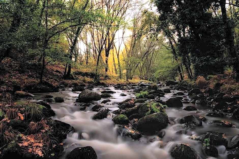 Hostel El Lago, Caceres