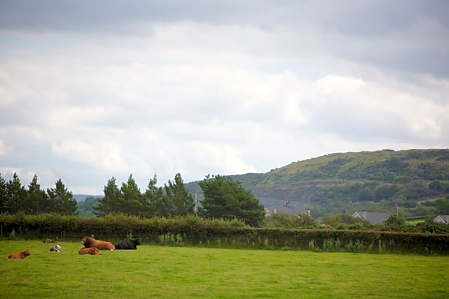 Riversdale Country House