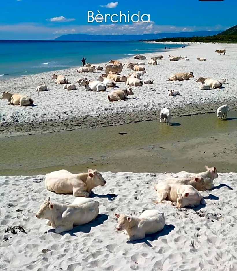 La grazia in qualche modo