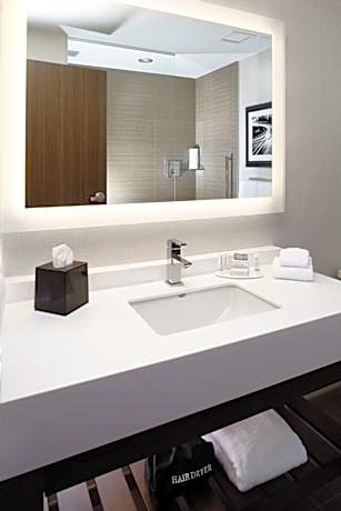 King Room with Roll-In Shower - Mobility Access/Hearing Accessible